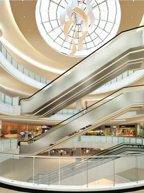 自動(dòng)扶梯 (4)